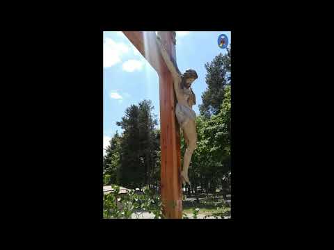 Pustelnia 04.06.2021 - Kazanie o. Daniela (Mk 12, 35-37 / Tb 11, 5-18)