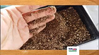 Vídeo sobre o produto