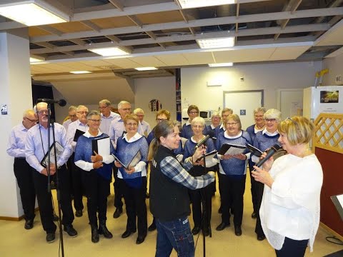 Seniorkören i Domsjö - En natt i Köpenhamn