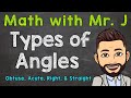 Types of Angles | Obtuse, Acute, Right, & Straight Angles