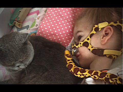 YouTube video preview image