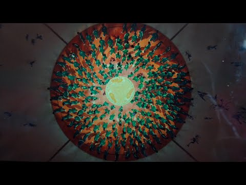 Squid Game 2 - Mingle Game (Ring a Ring a) Merry Go round