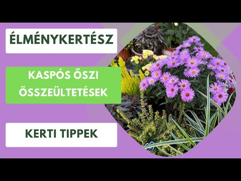 Őszi kaspók: Tökéletes őszi összeültetések viráégokkal🌼🌸🌺