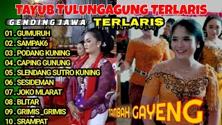 Download lagu YANG BIKIN SEMANGAT KERJA GENDING TAYUB TULUNGAGUNG TERBARU 2025 #gendingjawa mp3 Download lagu YANG BIKIN SEMANGAT KERJA GENDING TAYUB TULUNGAGUNG TERBARU 2025 #gendingjawa mp3