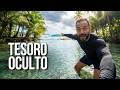 El Restaurante Secreto de Las Terrenas, es ARTE: Conoce Zamia 🇩🇴 DEFAULT Thumbnail