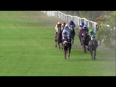 Galopprennbahn Dresden  - 20.10.2018 - Rennen 8
