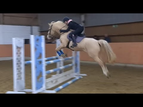 Malu (12) und Dancer - Lehrgang beim Landestrainer in Montabaur am 05.02.2022