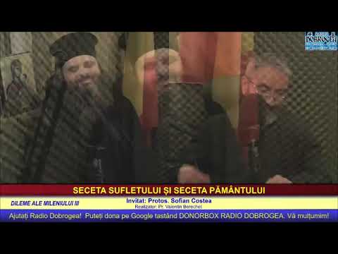 Parintele Sofian Costea-Dileme ale Mileniului III-Seceta Sufletului si Seceta Pamantului(25.07.2022)