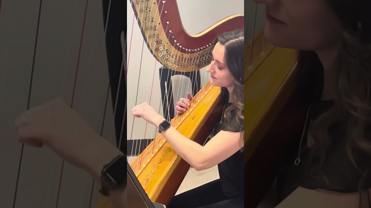 Promotional video thumbnail 1 for Where The Harp Is