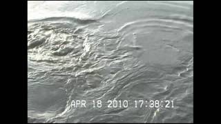 preview picture of video 'Rainy River Sturgeon Fishing 2010'