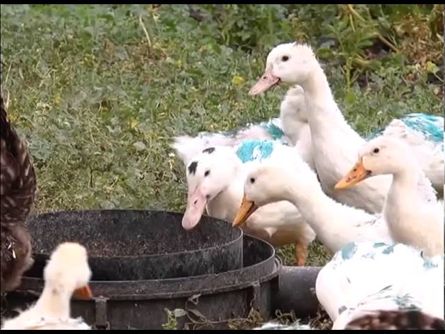  Счёт окончен 