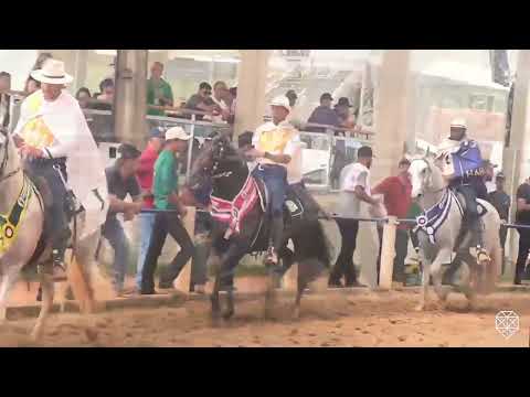 LOTE 11 OPRESSOR DA SANTA VITÓRIA