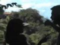 Clara Moreno - Ela Vai Pro Mar (2007).mp4