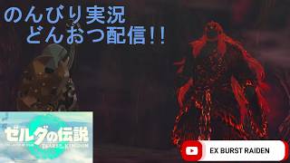 どんおつ配信「ゼルダの伝説 ティアーズオブザキングダム」34