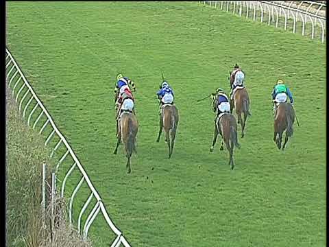 Galoppo 03/02/2018 - 2ª corsa