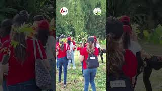 Desde Armenia, Colombia junto a la empresa @oka.climatizacion