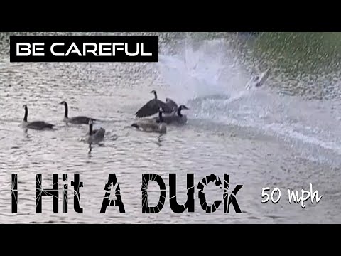 RC Accident | Fatal RC Crash | RC Boat Safety Announcement | Blackjack42