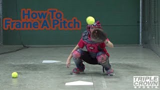 Properly Frame A Pitch - TCS Training Tips