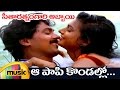 Seetharatnam Gari Abbayi Telugu Movie Songs Aa Paapi Kondallo Full Video Song Roja Vinod Kumar