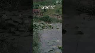 Download lagu menengku niteni lakumu mp3