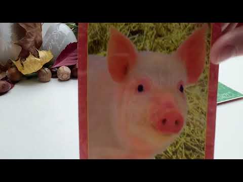 Orakel | TagesBotschaft | TagesOrakel | TagesImpuls | TagesKarte für den 16.11.2020