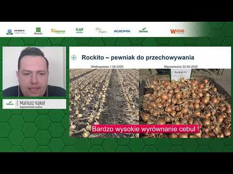 , title : 'Spotkanie Cebulowe: odmiany cebuli Seminis na trudne lata'