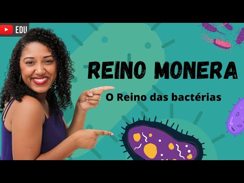Aula: Reino Monera (As bactérias)
