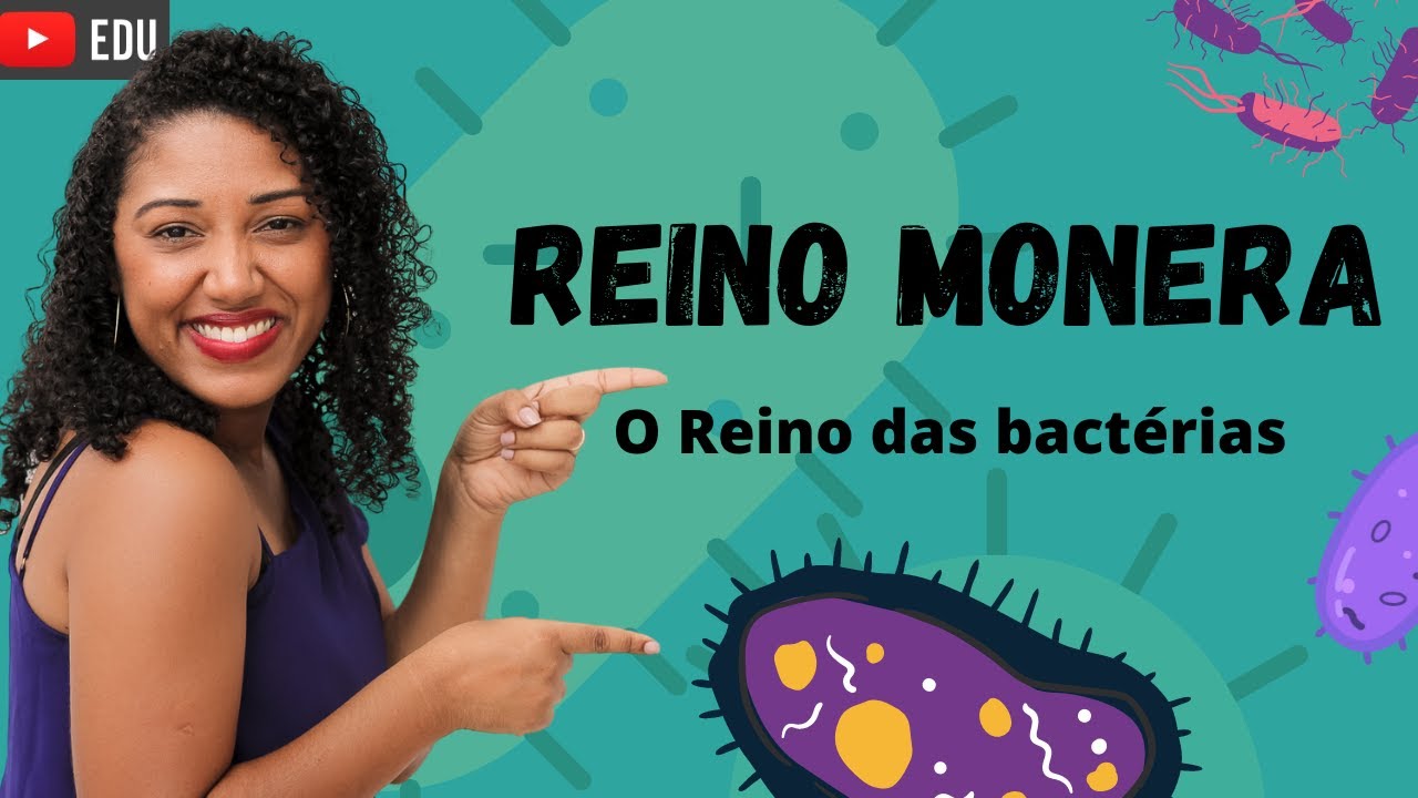 Aula: Reino Monera (As bactérias)