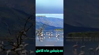 مدیتیشن ماه کامل با ایده راشل