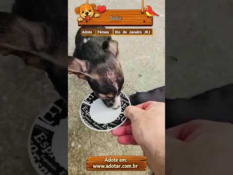 Vídeo de Sofia
