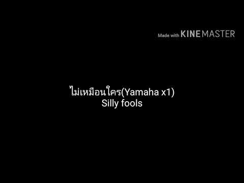 ไม่เหมือนใคร-Silly fools