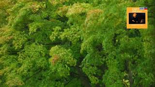 Download lagu Liszt : No.4. Au bord d'une source / Bolet 1983 mp3
