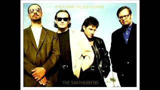 The Smithereens - If You Want The Sun To Shine