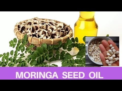 So extrahieren Sie Moringa-Samenöl zu Hause