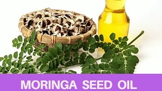 How to Extract Moringa Seed Oil at home