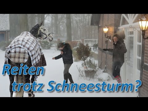Reiten trotz Schneesturm ? - Stresstest für Bourbon und seine Reiterin kurz vor der Abreise