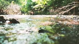 Lou Barlow - Boundaries (Album Audio Only)