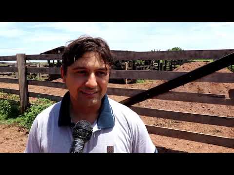 Programa Porteira Adentro é sucesso em Terra Nova do Norte