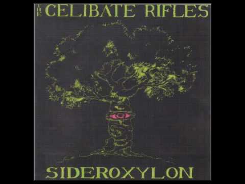 The Celibate Rifles - Hot Stuff (live)