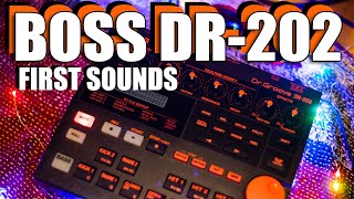 Boss Dr. Groove DR-202 - What To Know & Where To Buy Boss Dr. Groove DR-202 - What To Know & Where To Buy