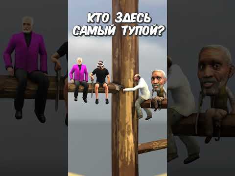 Кто здесь самый тупой? #gmod #sfm