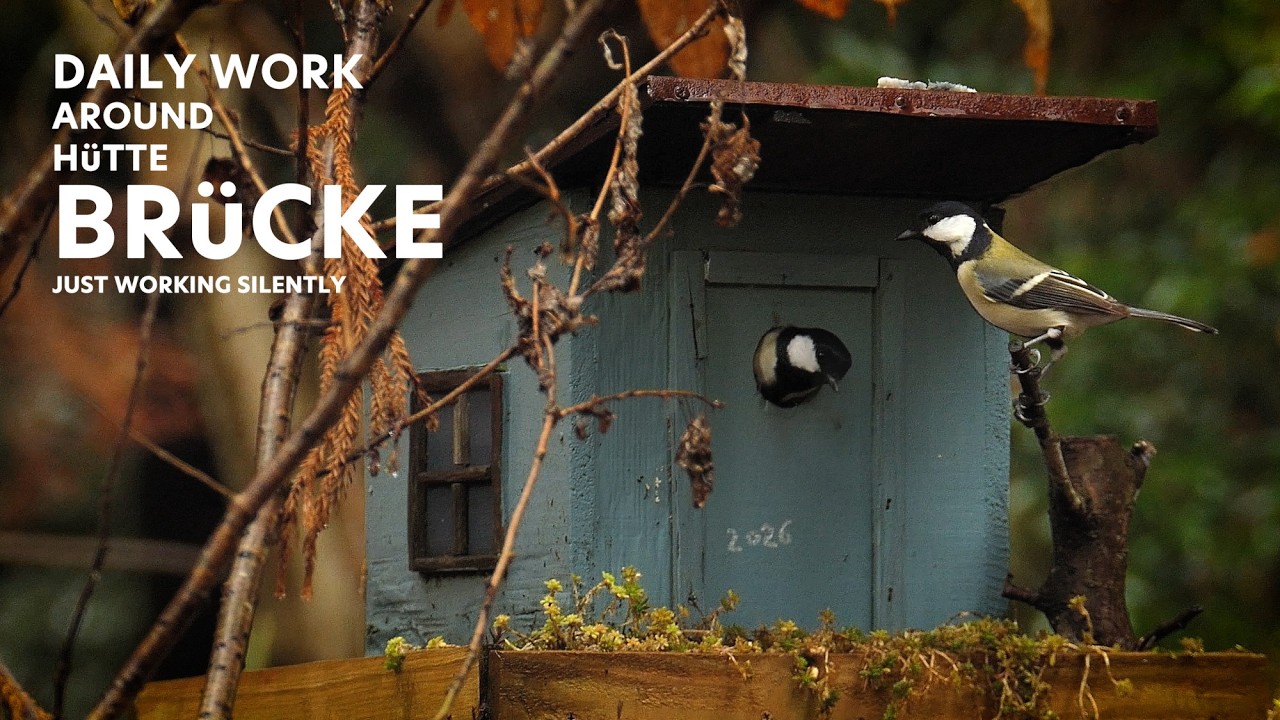 Some Days Don’t Go Well