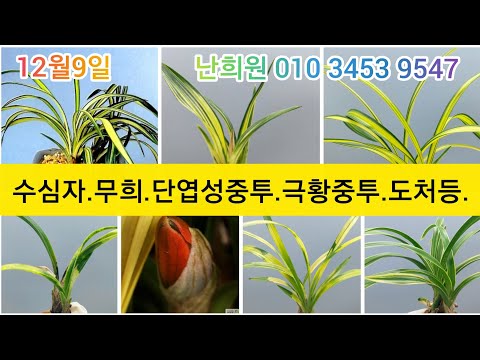 유튜브 썸네일