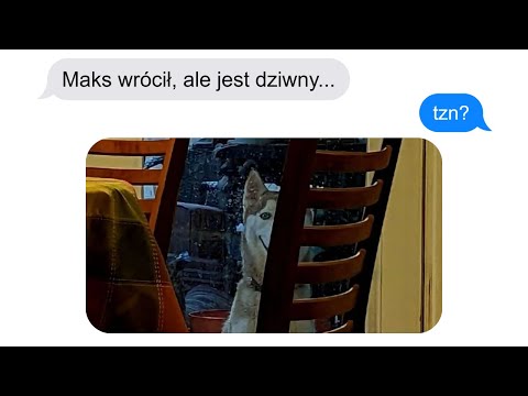 Mój Pies Zaginął, a Teraz Się Do Mnie UŚMIECHA (skinwalker)