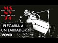 Mercedes Sosa - Plegaria a un Labrador (En Vivo NY) (Official Video)
