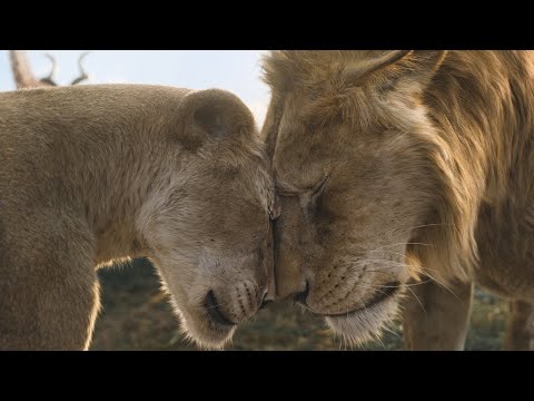 Mufasa: The Lion King - Mufasa Reunites With His Mother I 4K Ultra HD