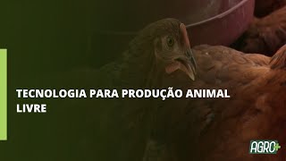 Miniatura do vídeo