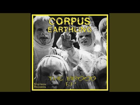 8mm And The Dirty Basement