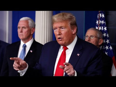 White House coronavirus briefing (Wednesday, March 25, 2020)