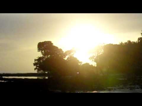 PT.MUKUL SHIVPUTRA-BHAJAN -HARI MORE AVAGUN